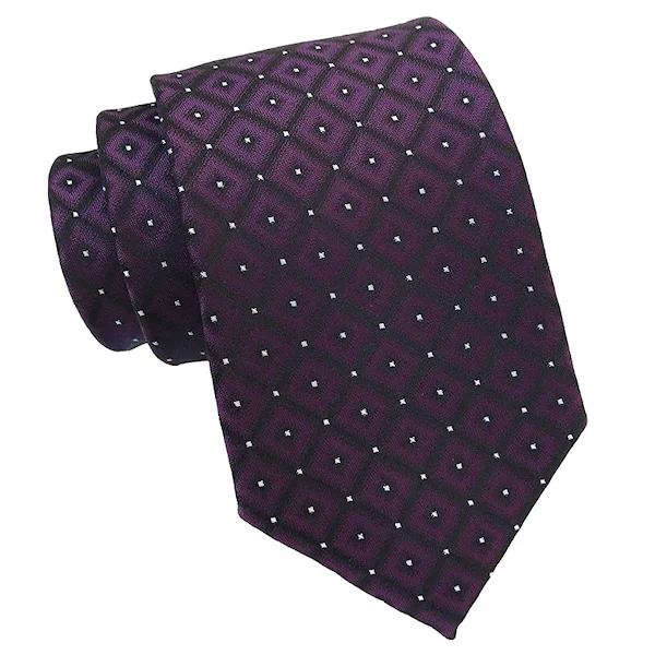 Men's tie with luxurious fabric for a sleek look-Classy Men Classic Purple Grid Silk Tie